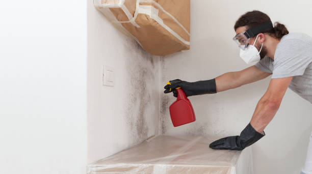 Professional Bathroom Mold Removal technician working in Woodsboro, MD