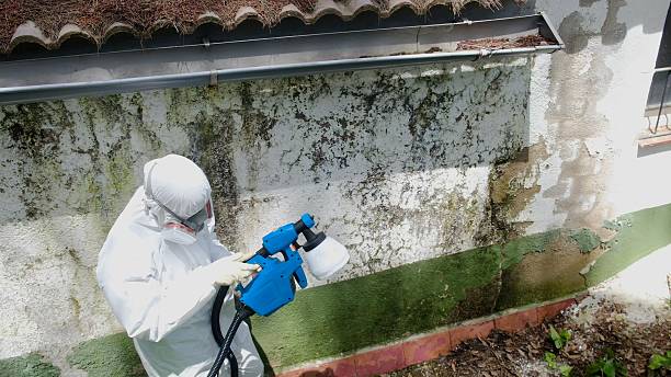 Top rated local Bathroom Mold Removal specialists in Woodsboro, MD